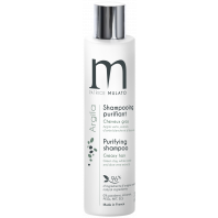 ARGILA SHAMPOOING CHEVEUX GRAS 200ML