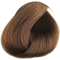 REVERSO 7.3 BLOND DORE 