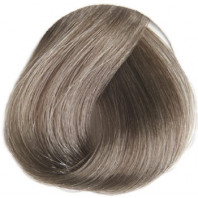 REVERSO 8.1 BLOND CLAIR CENDRE