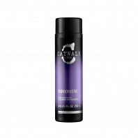 CONDITIONNEUR FASHIONISTA VIOLET 250ML