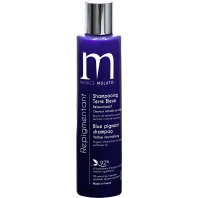 REPIG SHAMPOOING TERRE BLEUE 200ML